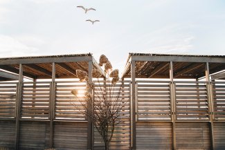 Two slatted wooden structures with a sunlit tree between them, set against a clear sky with three birds flying overhead.