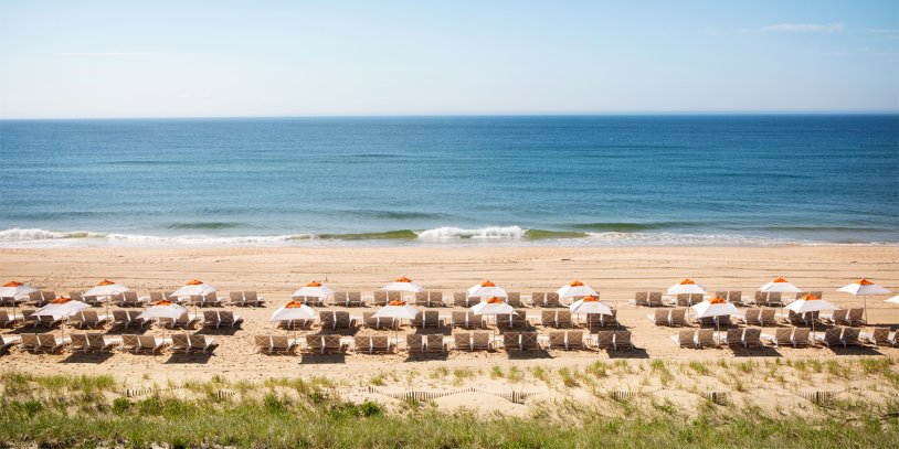 Rows of white beach umbrellas and chairs on a sandy beach, facing a calm blue ocean under a clear sky.
