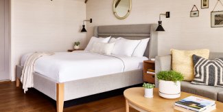 Modern hotel room with a neatly made bed, soft lighting, a cozy sofa, decorative cushions, a small round table, and a potted plant.