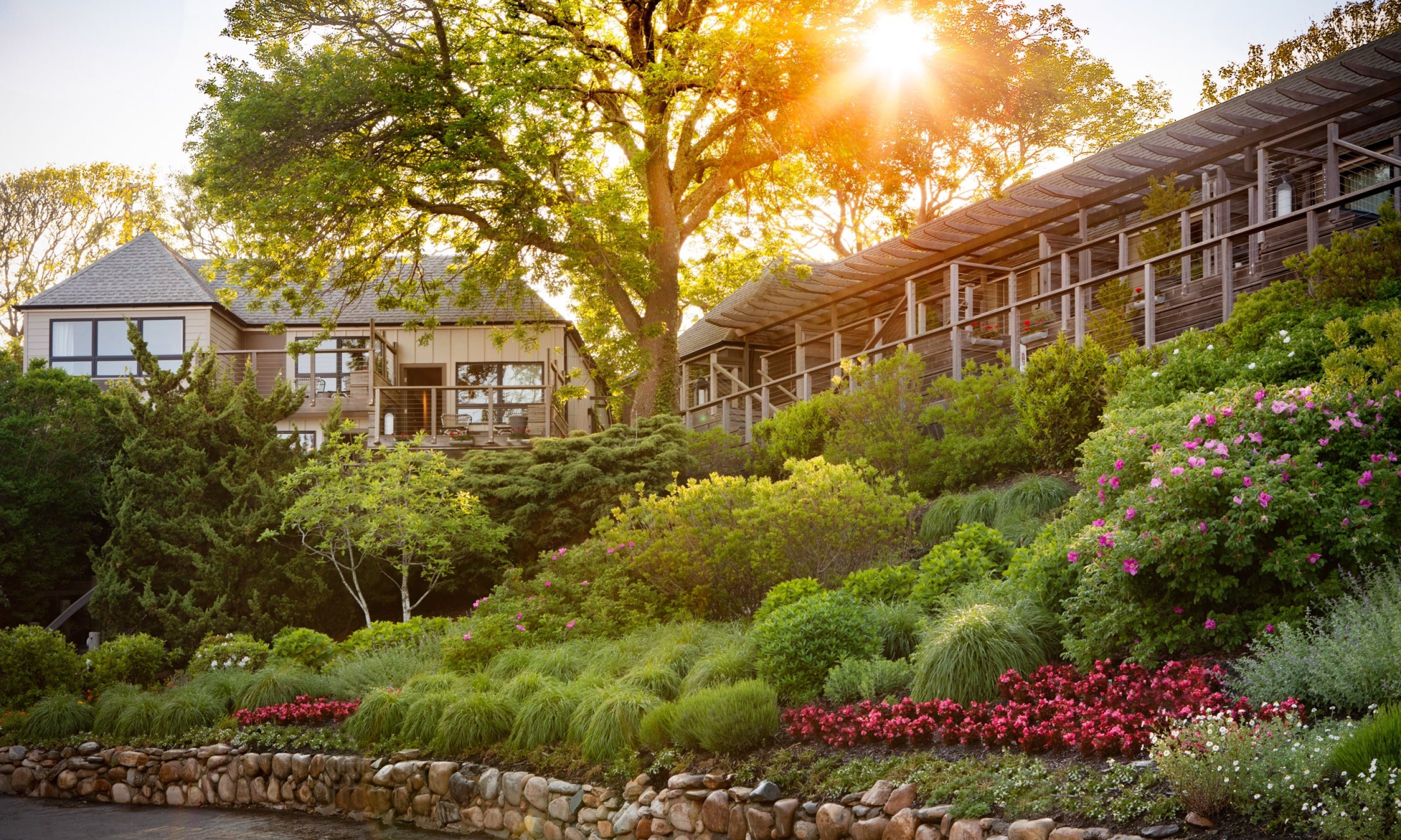 Landscape with sunlit gardens, vibrant flowers, and a stone wall, adjacent to a wooden building amid tall trees at sunset.