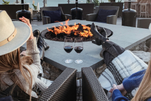 fireplace wine and two friends